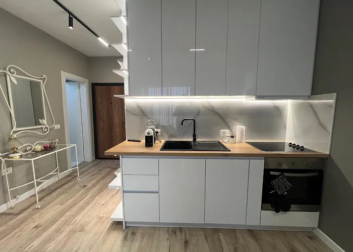 Center Cozy 2 شقة تيرانا